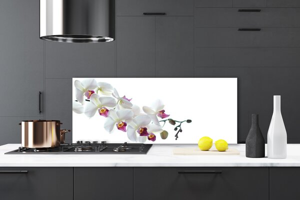 Nástenný panel  Kvety rastlina príroda 125x50 cm