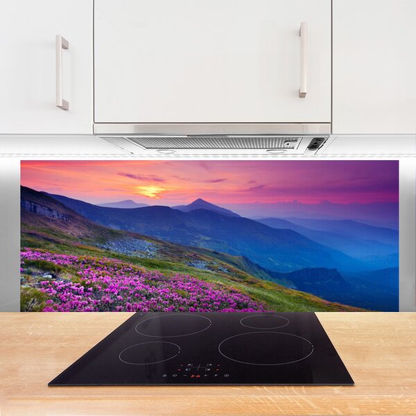 Nástenný panel  Hory lúka kvety príroda 125x50 cm