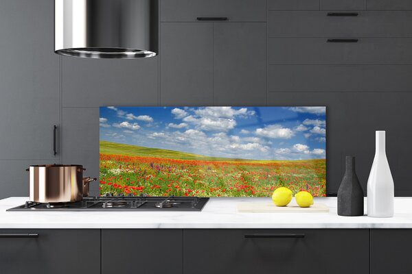 Nástenný panel  Lúka kvety príroda 125x50 cm