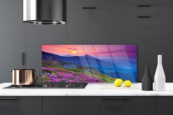 Nástenný panel  Hory lúka kvety príroda 125x50 cm