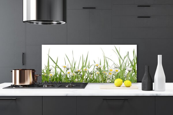 Nástenný panel  Tráva sedmokrásky príroda 125x50 cm