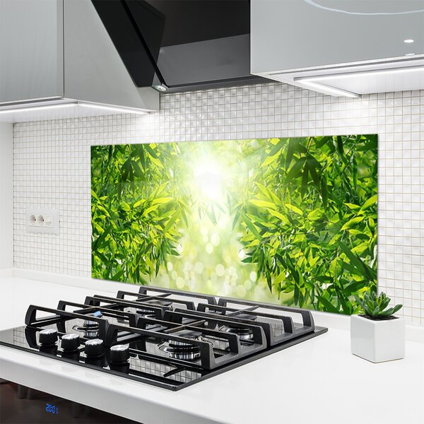 Nástenný panel  Listy príroda rastlina 120x60 cm