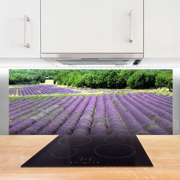 Nástenný panel  Lúka kvety príroda 125x50 cm