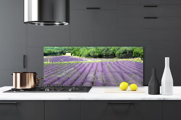 Nástenný panel  Lúka kvety príroda 125x50 cm