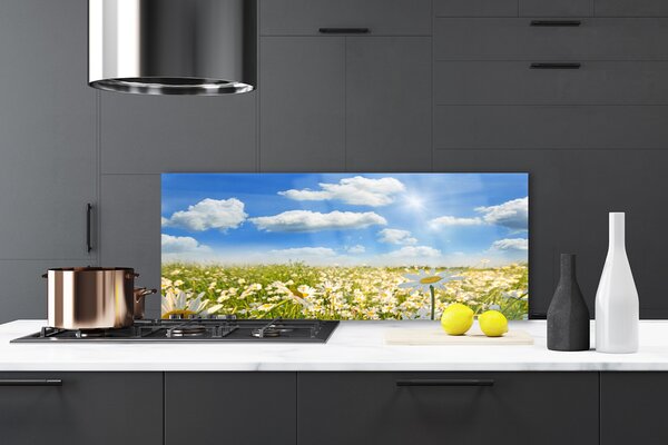 Sklenený obklad Do kuchyne Lúka sedmokrásky príroda 125x50 cm