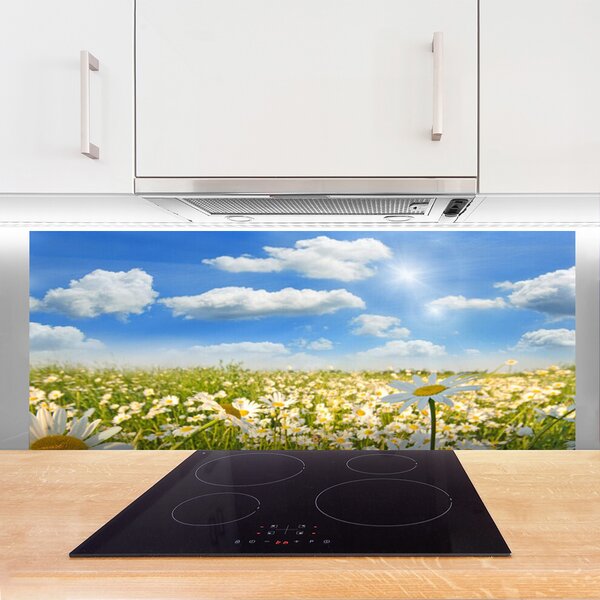 Sklenený obklad Do kuchyne Lúka sedmokrásky príroda 125x50 cm