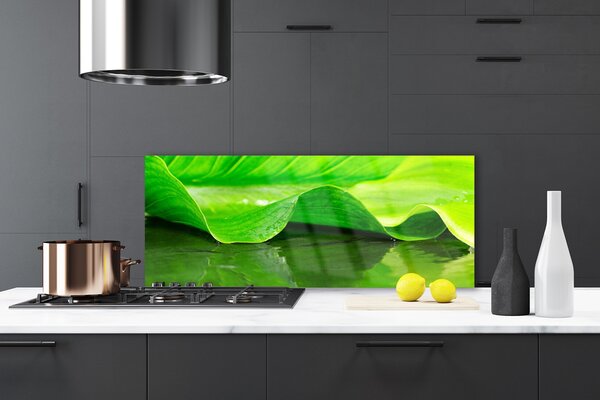 Sklenený obklad Do kuchyne List roslina příroda 125x50 cm