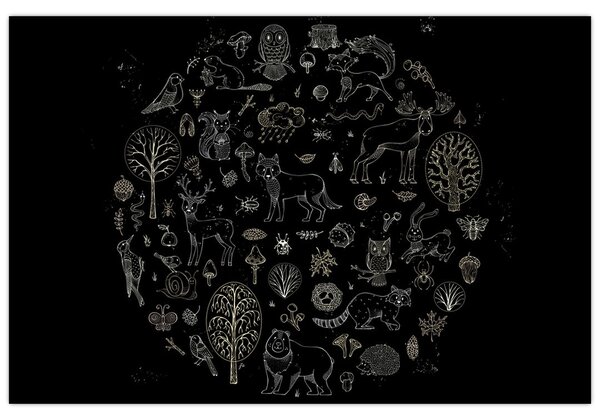 Obraz - Príroda (90x60 cm)