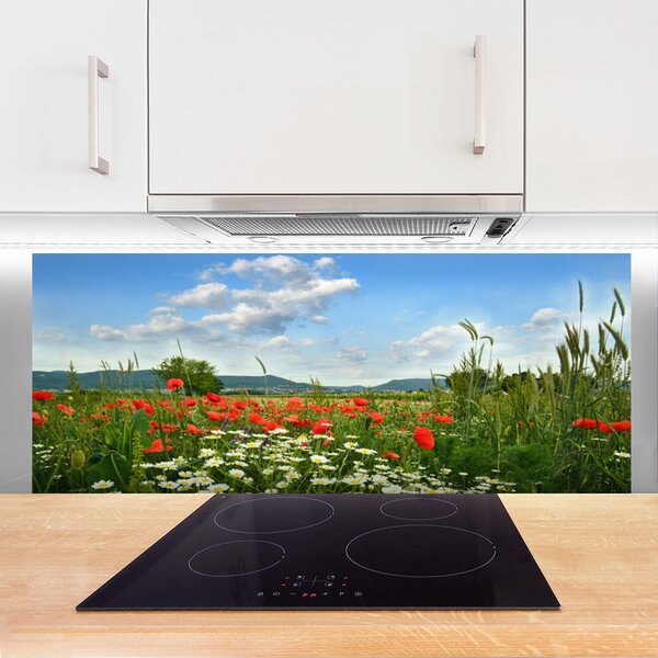 Sklenený obklad Do kuchyne Lúka kvety príroda 125x50 cm