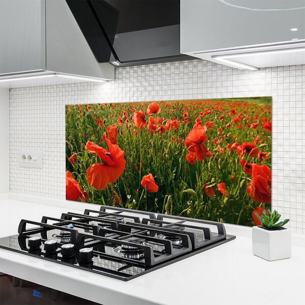Sklenený obklad Do kuchyne Maky rastlina príroda 120x60 cm