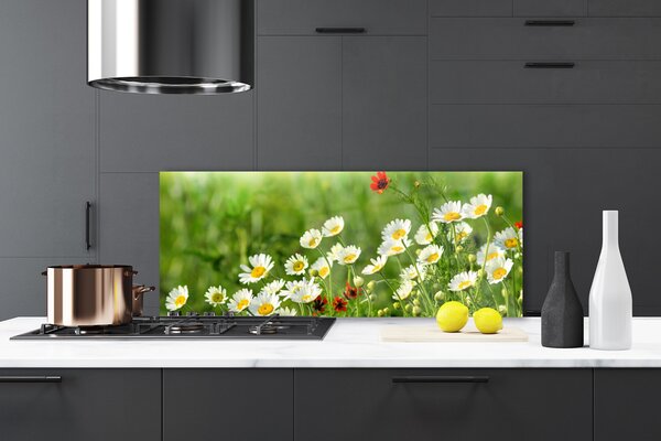 Sklenený obklad Do kuchyne Sedmokráska rastlina príroda 125x50 cm