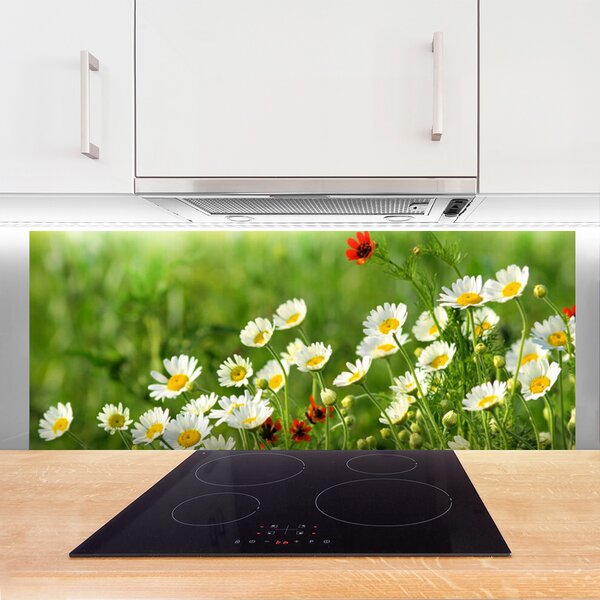 Sklenený obklad Do kuchyne Sedmokráska rastlina príroda 125x50 cm