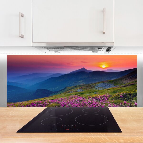 Sklenený obklad Do kuchyne Hory lúka kvety príroda 125x50 cm
