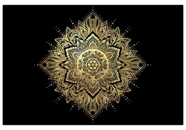 Obraz - Mandala bohatstvo (90x60 cm)