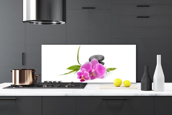 Sklenený obklad Do kuchyne Kvet kamene rastlina 125x50 cm