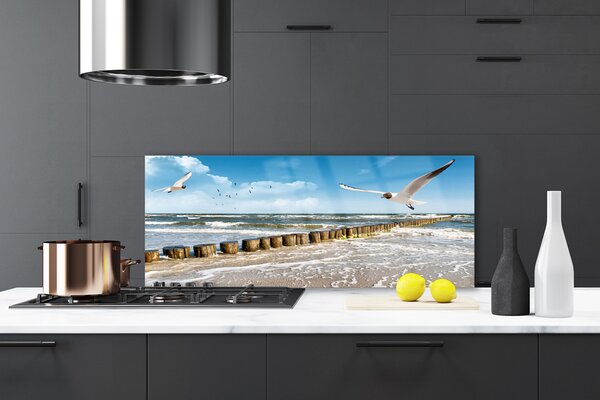 Sklenený obklad Do kuchyne Čajky more príroda 125x50 cm