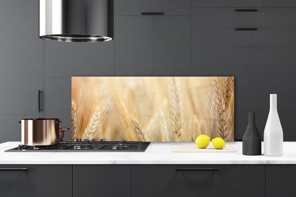 Sklenený obklad Do kuchyne Pšenica rastlina príroda 125x50 cm