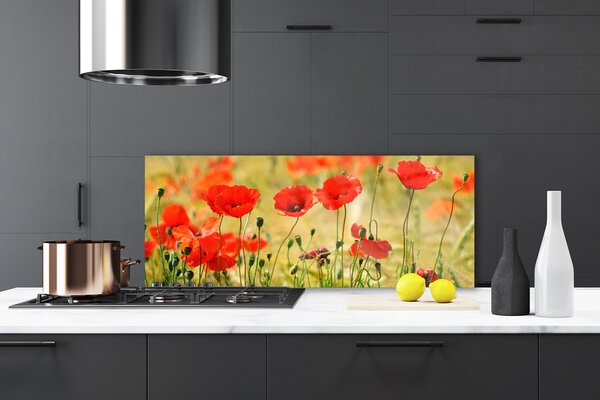 Sklenený obklad Do kuchyne Maky rastlina príroda 125x50 cm
