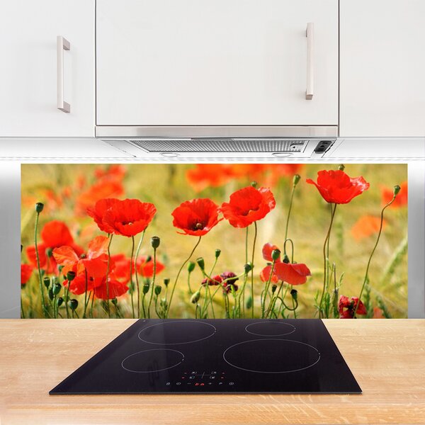 Sklenený obklad Do kuchyne Maky rastlina príroda 125x50 cm