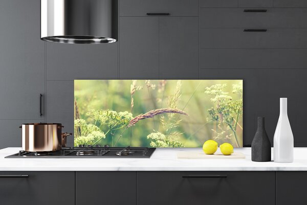 Sklenený obklad Do kuchyne Divoké rastliny príroda 125x50 cm