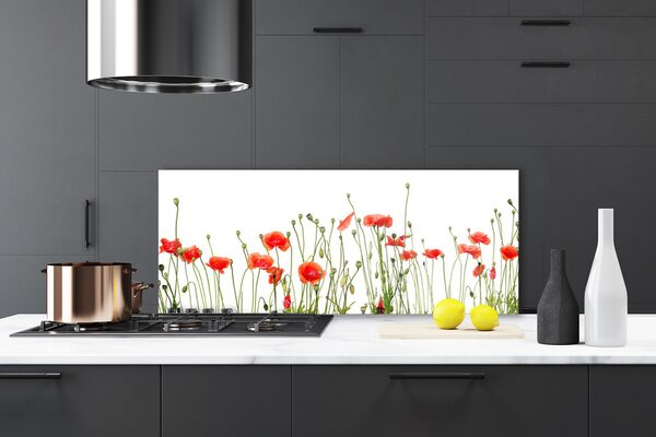Sklenený obklad Do kuchyne Maky rastlina príroda 125x50 cm