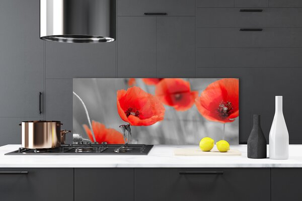 Sklenený obklad Do kuchyne Maky rastlina príroda 125x50 cm