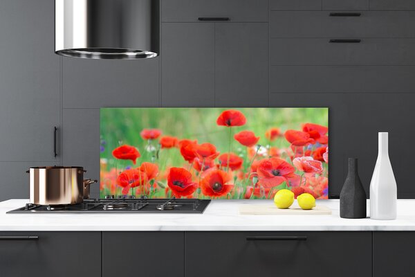 Sklenený obklad Do kuchyne Maky rastlina príroda 125x50 cm