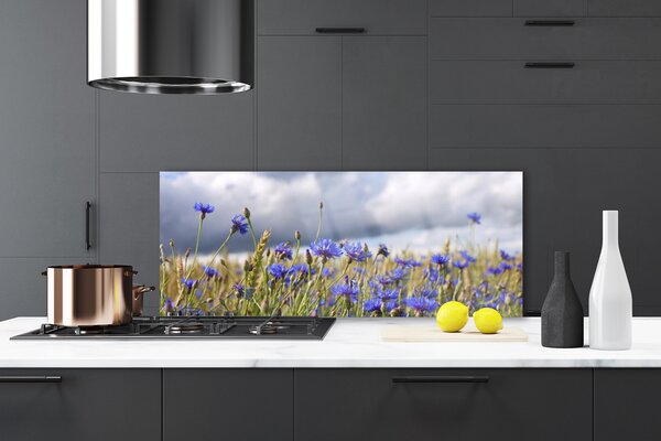 Sklenený obklad Do kuchyne Kvety rastlina príroda 125x50 cm
