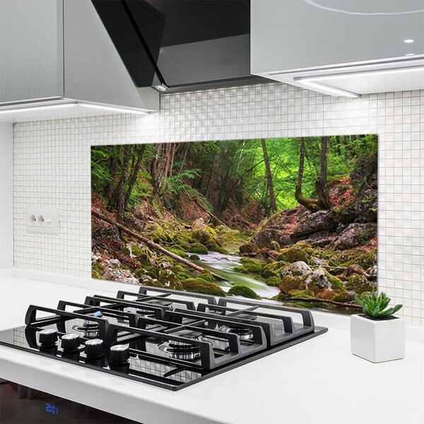 Sklenený obklad Do kuchyne Les mech príroda 120x60 cm