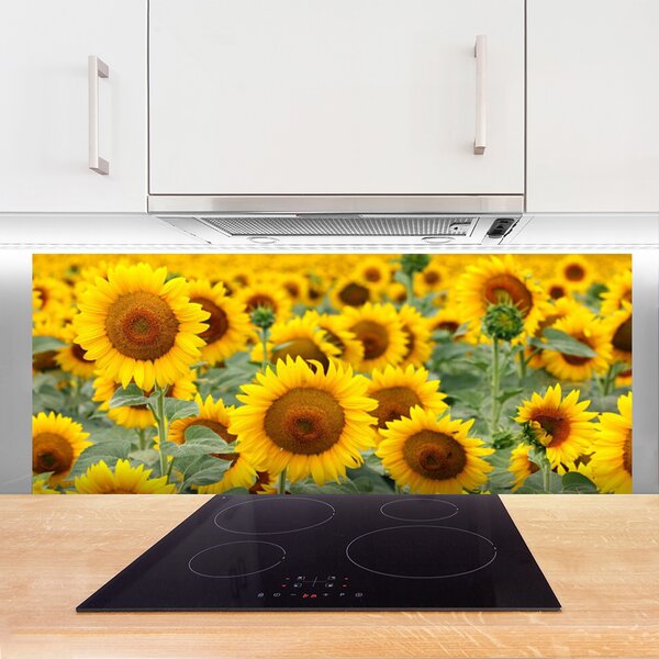 Sklenený obklad Do kuchyne Slnečnica rastlina príroda 125x50 cm
