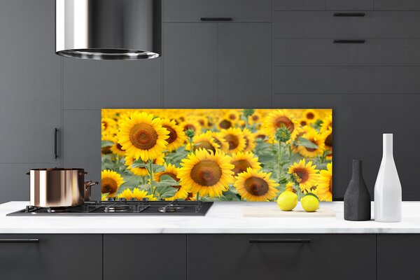 Sklenený obklad Do kuchyne Slnečnica rastlina príroda 125x50 cm