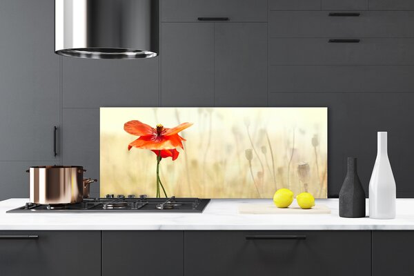 Sklenený obklad Do kuchyne Maky rastlina príroda 125x50 cm