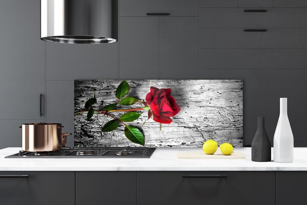 Sklenený obklad Do kuchyne Ruže kvet rastlina 125x50 cm