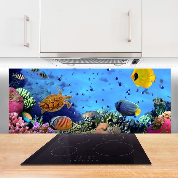 Sklenený obklad Do kuchyne Koralový útes príroda 125x50 cm
