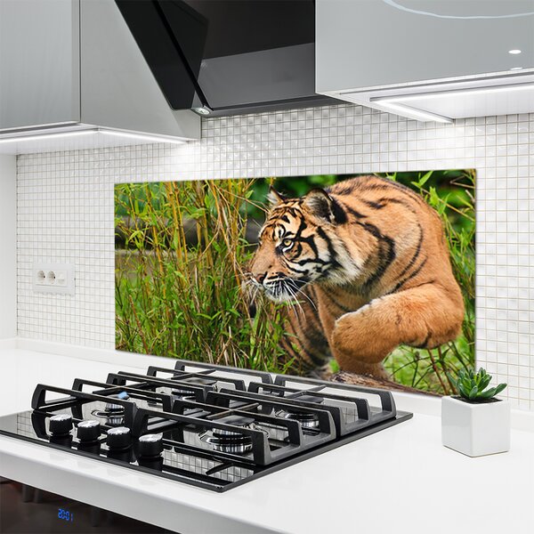 Sklenený obklad Do kuchyne Tiger zvieratá 120x60 cm