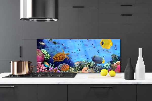 Sklenený obklad Do kuchyne Koralový útes príroda 125x50 cm