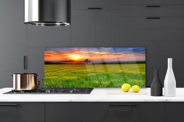Sklenený obklad Do kuchyne Lúka slnko príroda 125x50 cm