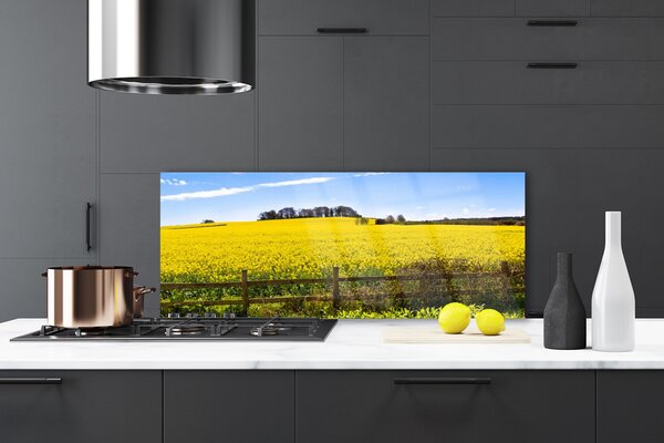Sklenený obklad Do kuchyne Pole rastlina krajina 125x50 cm