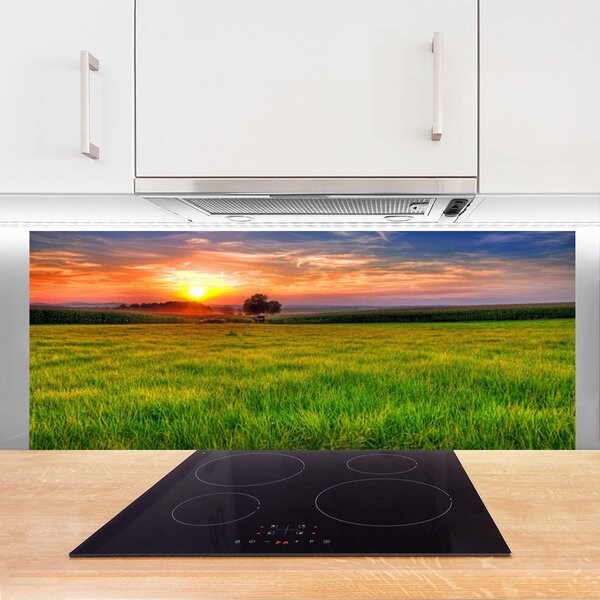 Sklenený obklad Do kuchyne Lúka slnko príroda 125x50 cm