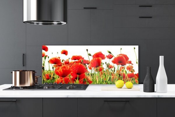 Sklenený obklad Do kuchyne Maky rastlina príroda 125x50 cm