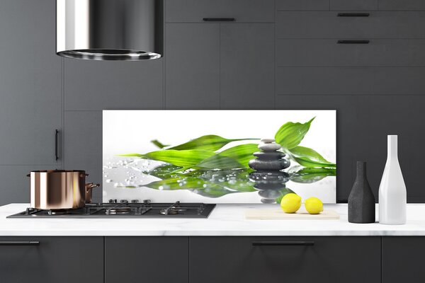 Sklenený obklad Do kuchyne Kamene listy umenie 125x50 cm
