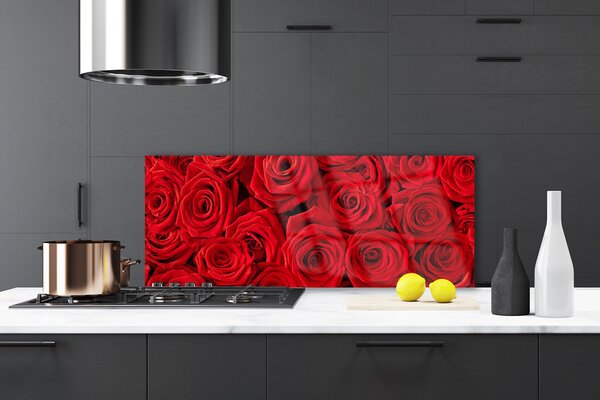 Sklenený obklad Do kuchyne Ruže kvety rastlina 125x50 cm
