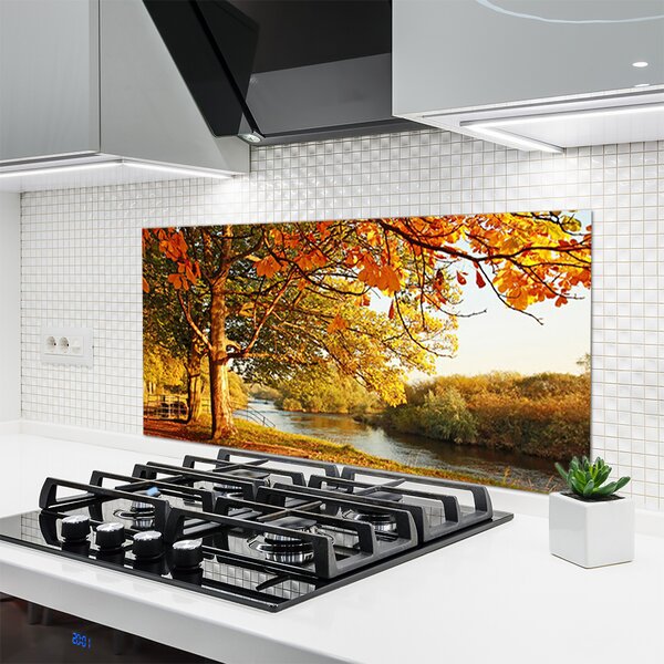 Sklenený obklad Do kuchyne Strom jazero príroda 120x60 cm