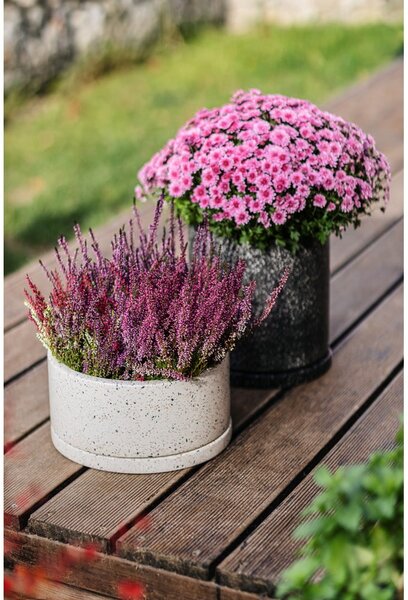 Tmavosivý kvetináč Selection Terrazzo, ø 34 cm