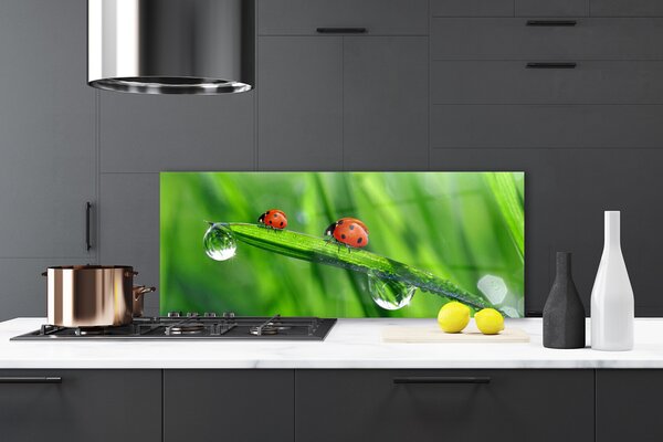 Sklenený obklad Do kuchyne Lienka tráva kvapky 125x50 cm