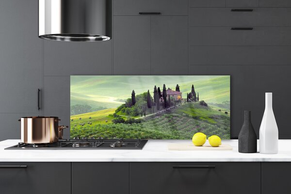 Sklenený obklad Do kuchyne Lúka stromy príroda 125x50 cm