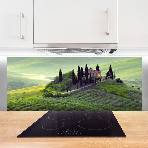 Sklenený obklad Do kuchyne Lúka stromy príroda 125x50 cm