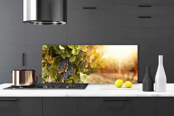 Sklenený obklad Do kuchyne Hrozno listy kuchyňa 125x50 cm