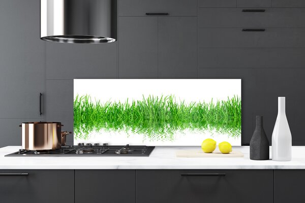Sklenený obklad Do kuchyne Tráva rastlina príroda 125x50 cm