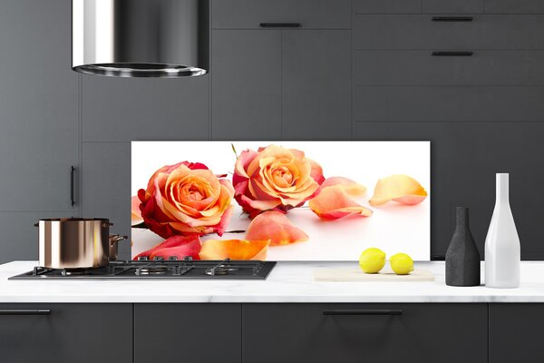 Sklenený obklad Do kuchyne Ruže kvety rastlina 125x50 cm